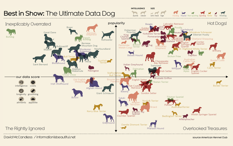 BEST IN SHOW CHART